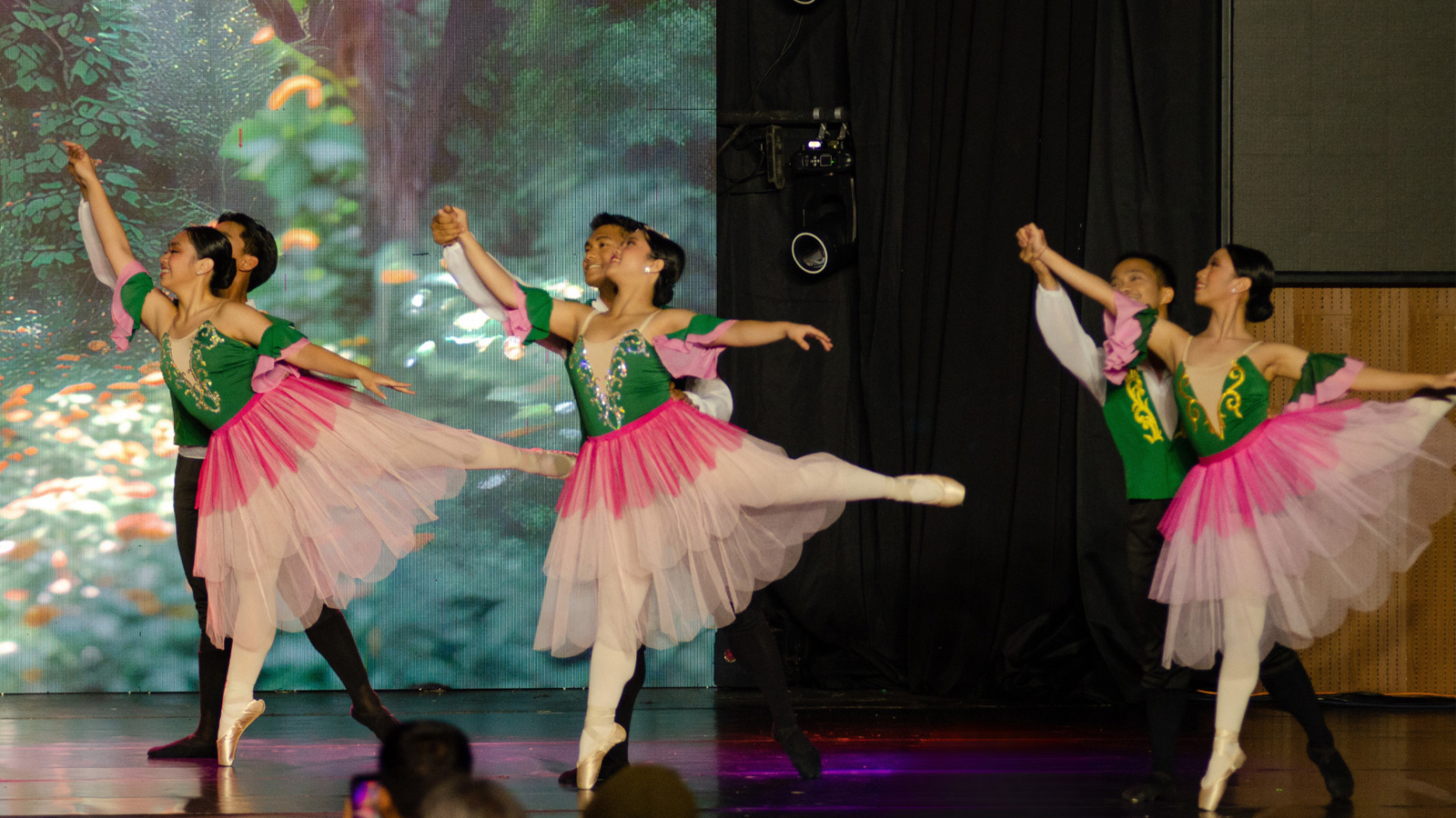 Level 4 Junior / Advanced Pointe